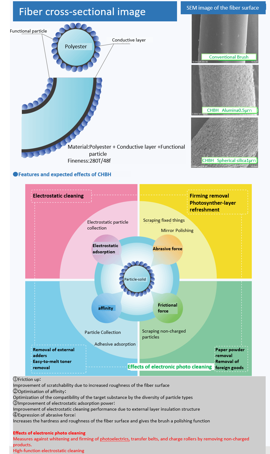  CHB fiber cross section image 